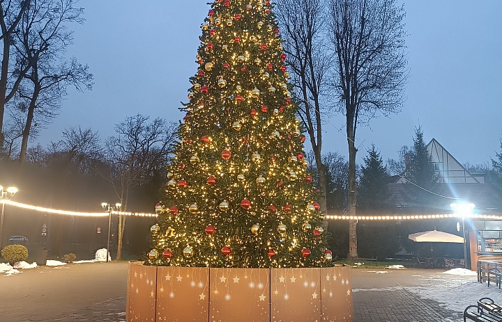 Парк готовится к Новому году!