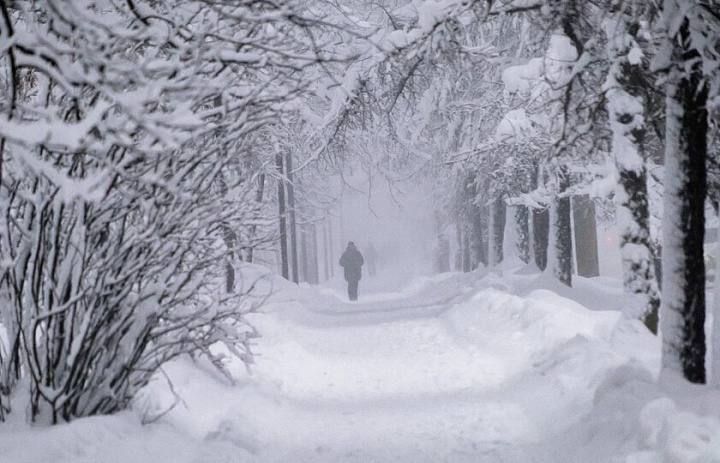 Осторожно мороз!